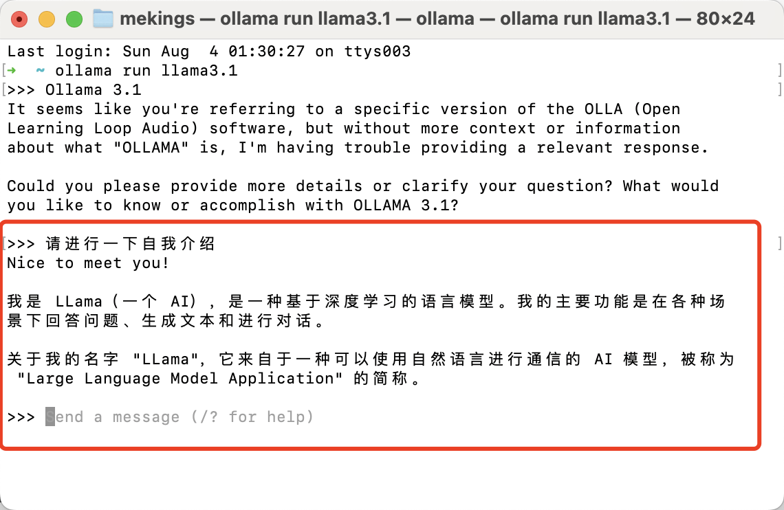 Llama 3.1 开源AI大模型使用_bc