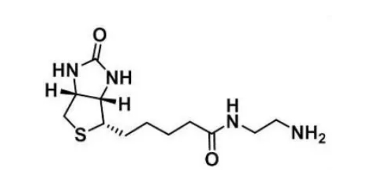 111790-37-5 ，生物素-氨基，一种生物素化合物，可与-NHS、-COOH反应