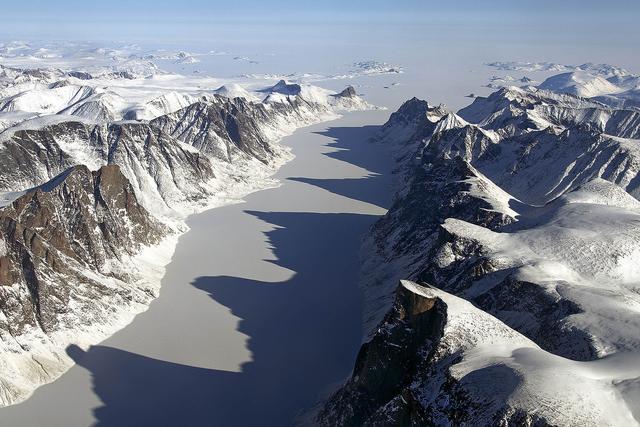 googleearthpro打开没有地球北极冰箱门已悄悄打开海豹大量死亡或许已