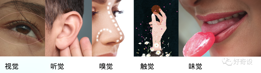 五感体验设计探索-CSDN博客