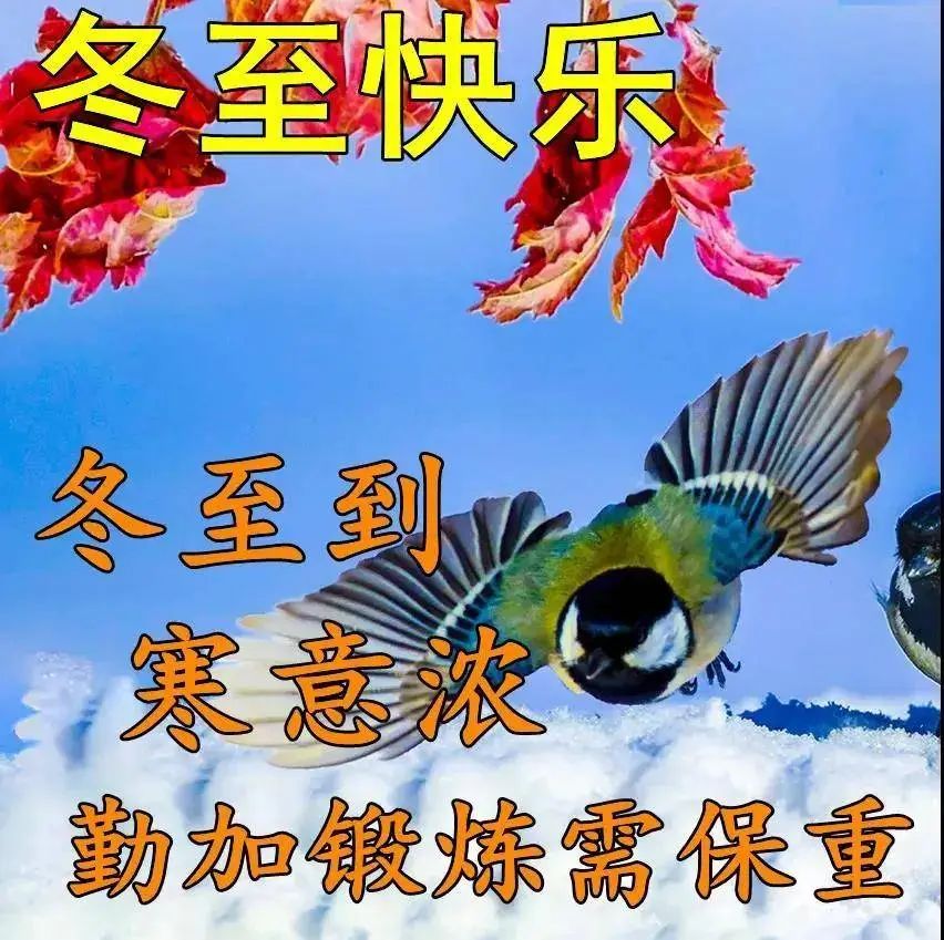 最新冬至问候祝福图片大全暖暖的祝福更贴心