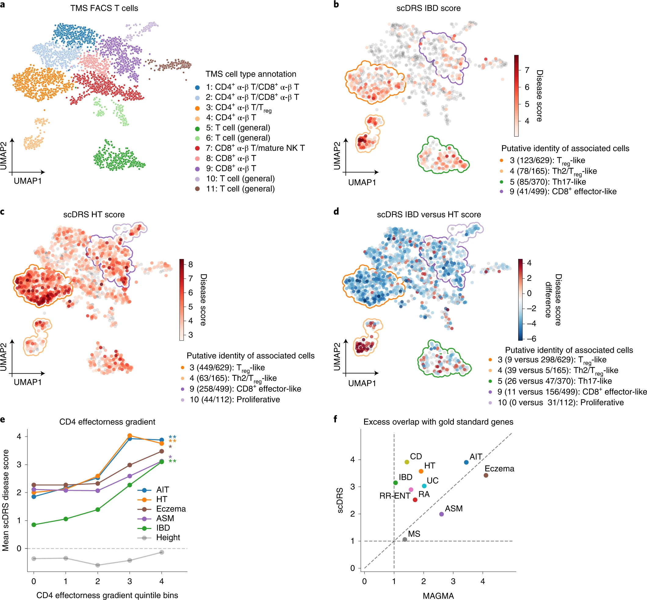 Post-GWAS: Single-cell Disease Relevance Score (scDRS) 分析-CSDN博客