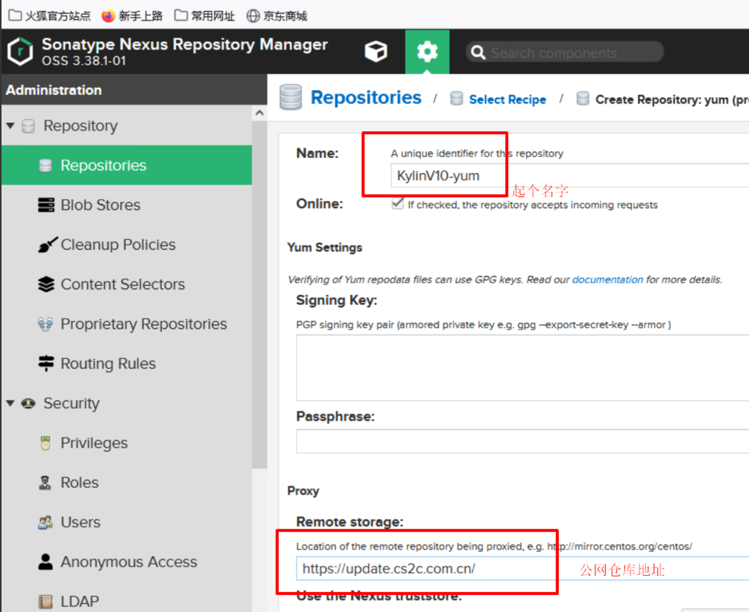 KylinV10麒麟系统使用Nexus搭建YUM仓库代理_国产服务器_09