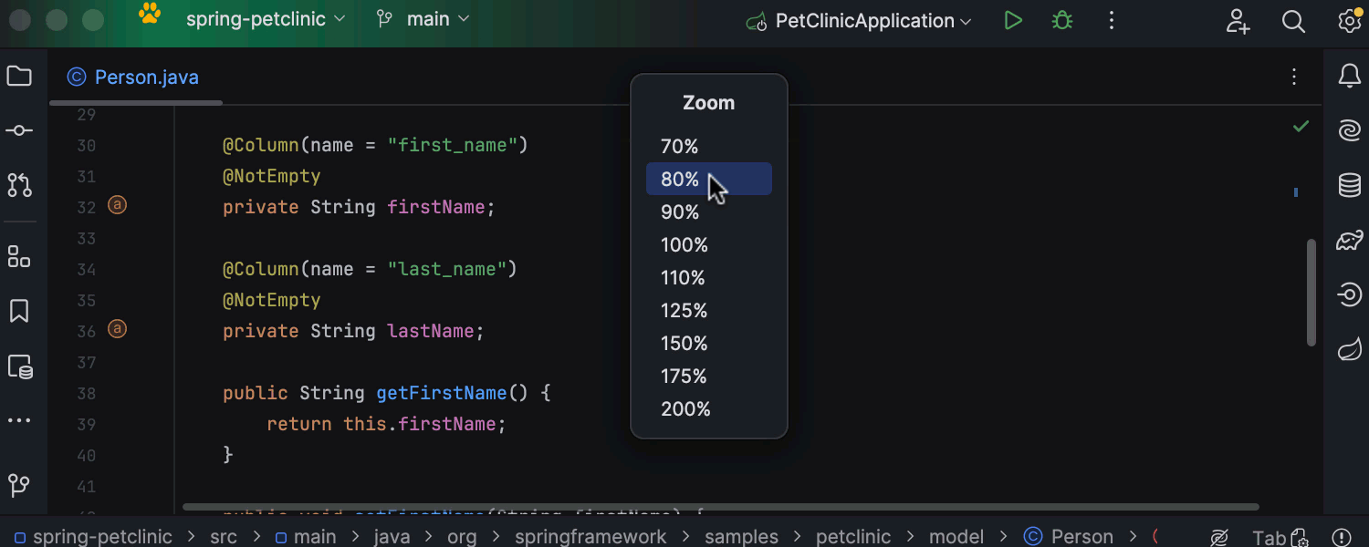 用于缩小整个 IDE 的选项