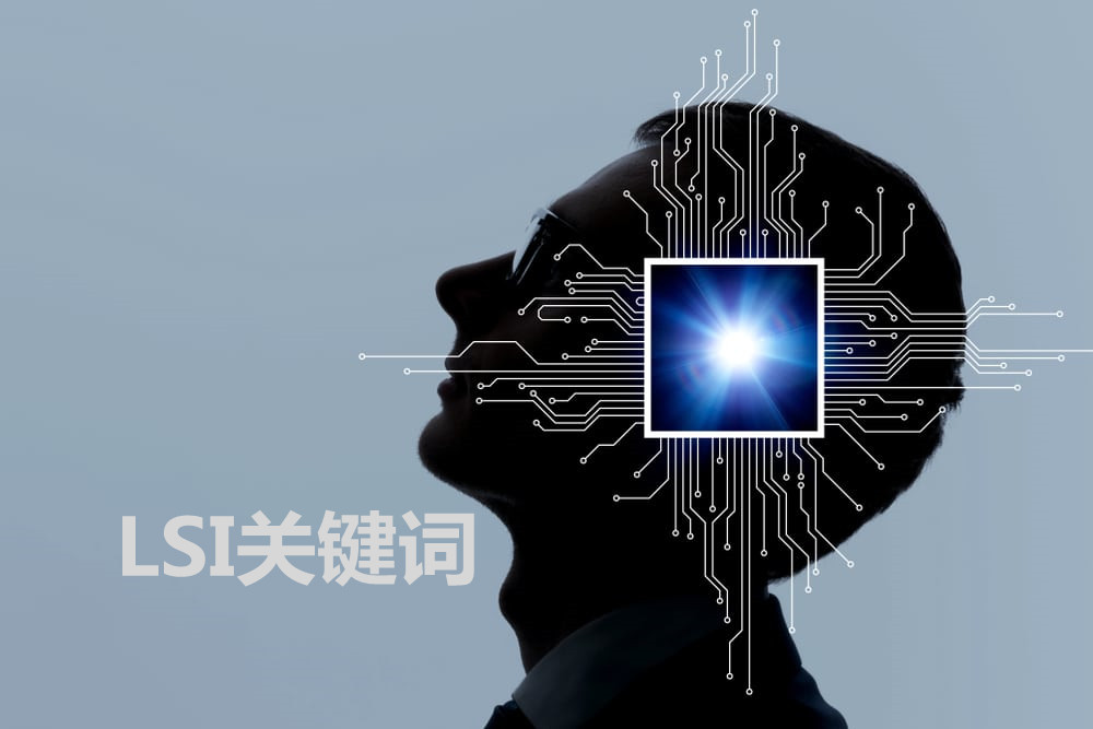 LSI关键词