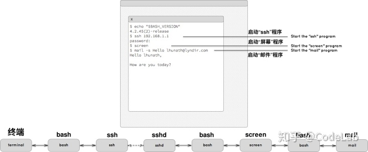 还是bash 查看 Bash 指南四篇之bash 是什么 它活在哪里 Weixin 的博客 Csdn博客