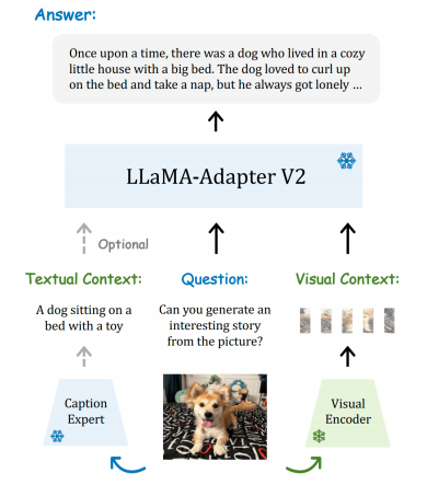 LLaMA-Adapter V2