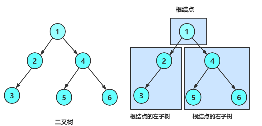 二叉树的结构