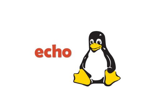 python echo命令_echo命令详解 （一） 真的很详细-CSDN博客