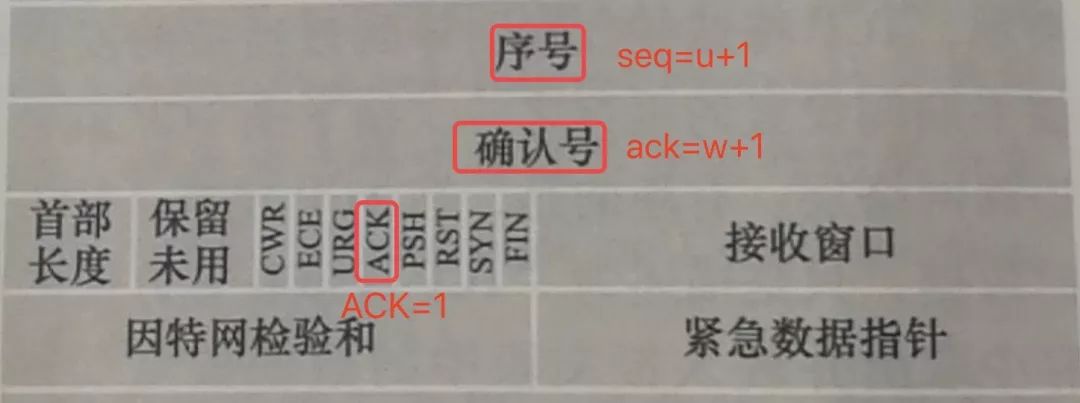 第四次挥手：ACK报文