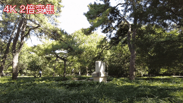 4f1f65a9a287c12e3e05409342165e51.gif