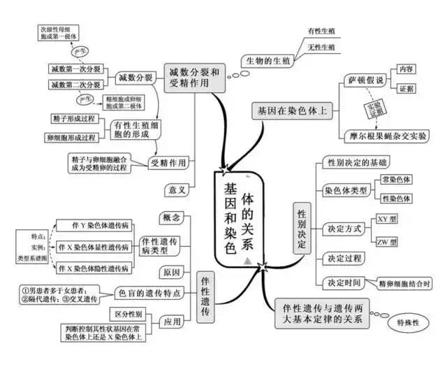 初二生态系统思维导图生物篇一份整理好的高考知识思维导图送给备战