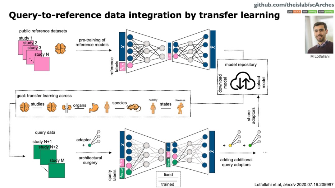 【Single Cell Genomics】Part2 Deep representation learning (form theislab)