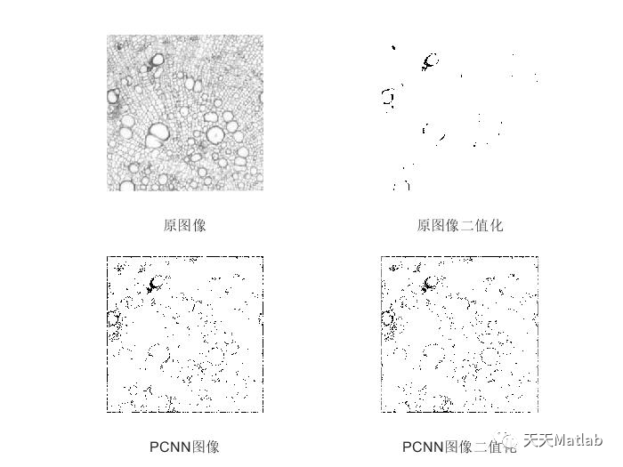 【图像特征提取】基于脉冲耦合神经网络（PCNN）实现图像特征提取含Matlab源码