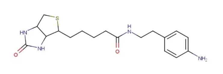 Biotin aniline，生物素苯胺，用于研究蛋白质结构和功能