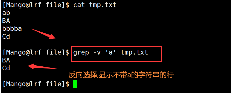 image-20220301195238987