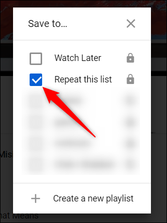 Click the checkbox next to the new playlist.