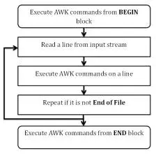 Linux 正则表达式