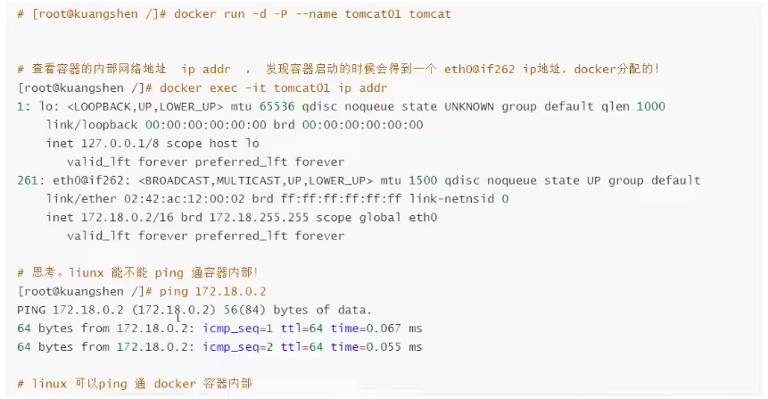 测试linux能否ping通容器内部