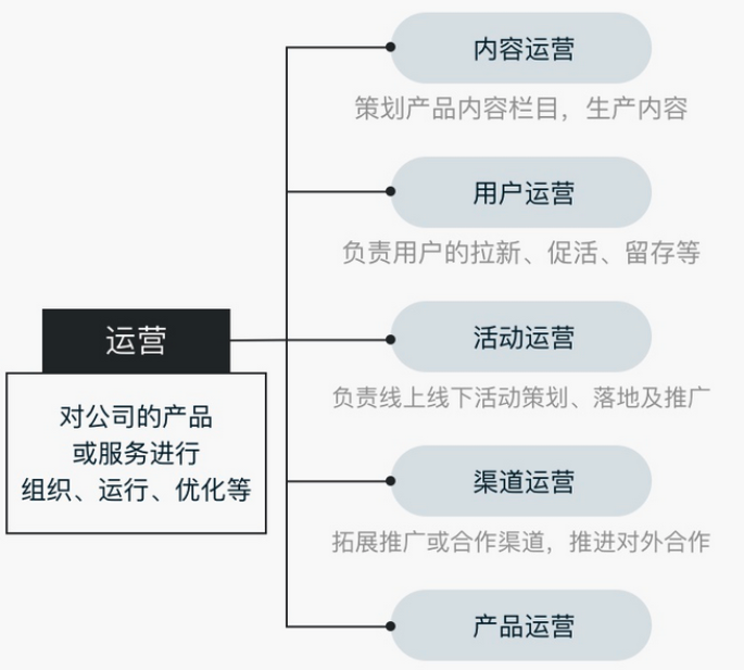 面试域——岗位职责以及工作流程