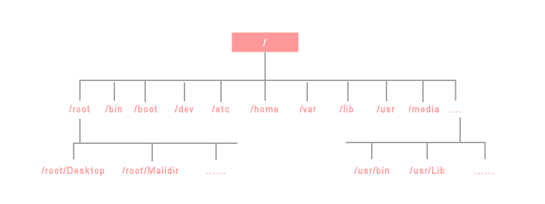 Linux 系统目录结构