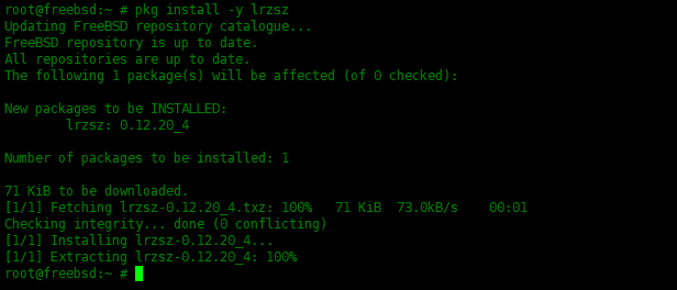 Examples of using the pkg package manager in FreeBSD Examples of using the pkg package manager in FreeBSD