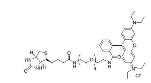 罗丹明-聚乙二醇-生物素RB-PEG-Biotin；Biotin-PEG-Rhodamine，PEG2000