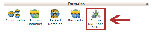 Simple DNS Zone Editor in cPanel