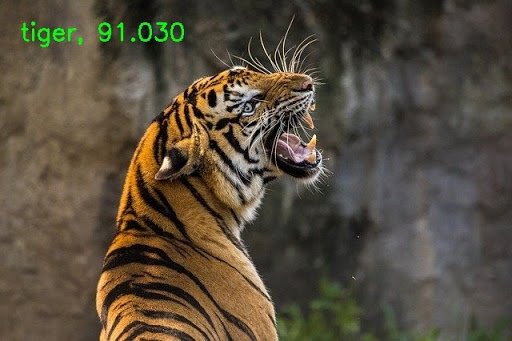 ▲ 图2.2.1  DenseNet121网络的输出结果：名称Tiger，预测的分：91.030