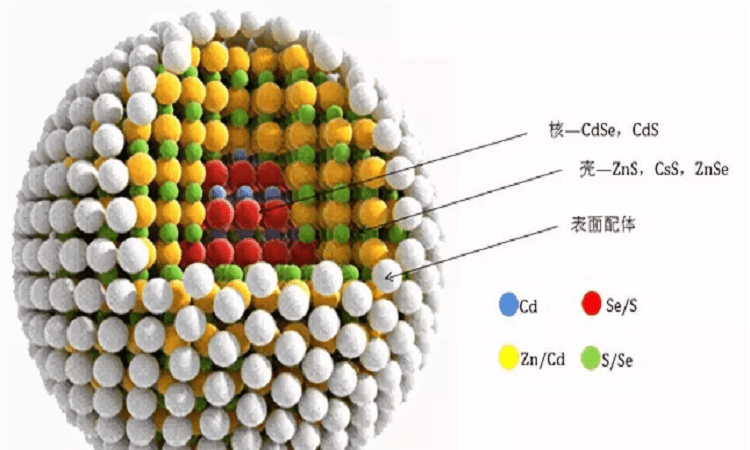 核壳量子点/聚苯乙烯荧光微球core-shell QDs/polystyrene fluorescent microspheres