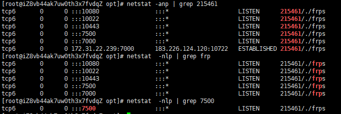 image-20231231095541704