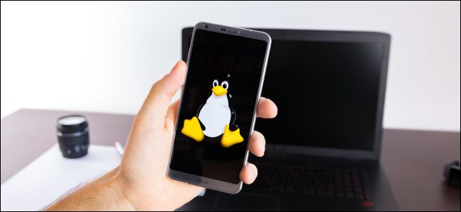 Smartphone with a Linux tux logo and a laptop