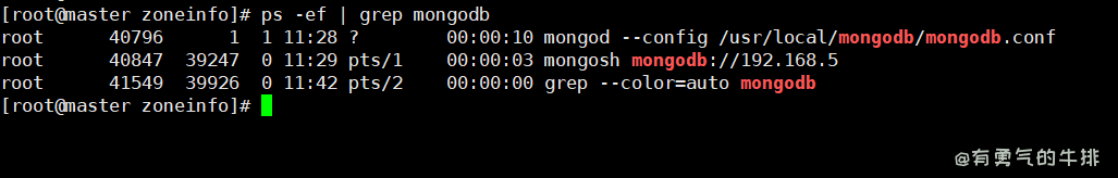 查看MongoDB进程