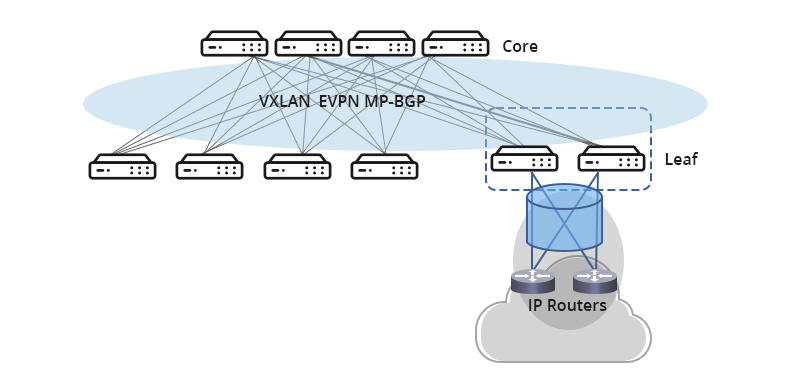 完整版指南：企业网络中的VXLAN-BGP-EVPN