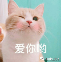 5113d647a78d46a85f33734498176969.png