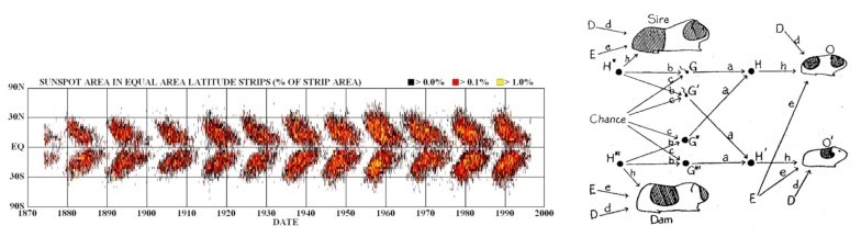 图15 左：1904年关于太阳黑子随时间扰动的蝴蝶图验证了太阳黑子的周期性；右：1920年发明的路径图显示了结构方程系统中变量形成的网络。