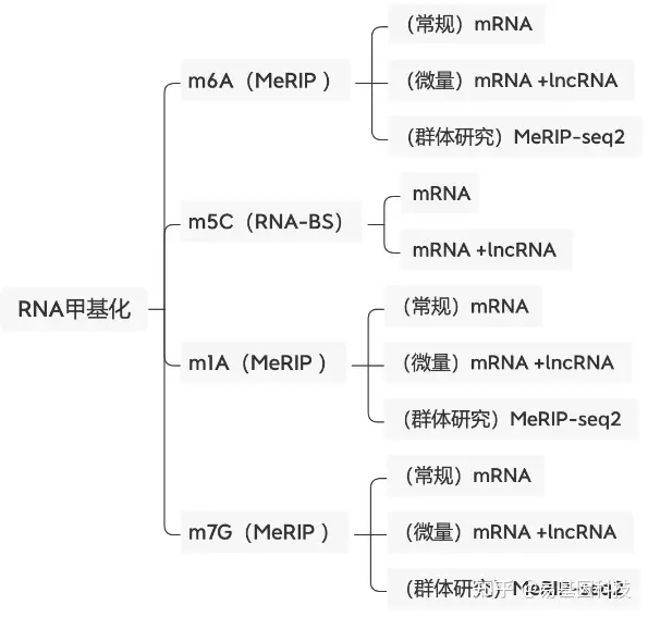 易基因： m6A RNA甲基化研究的前期探索性实验思路｜干货系列