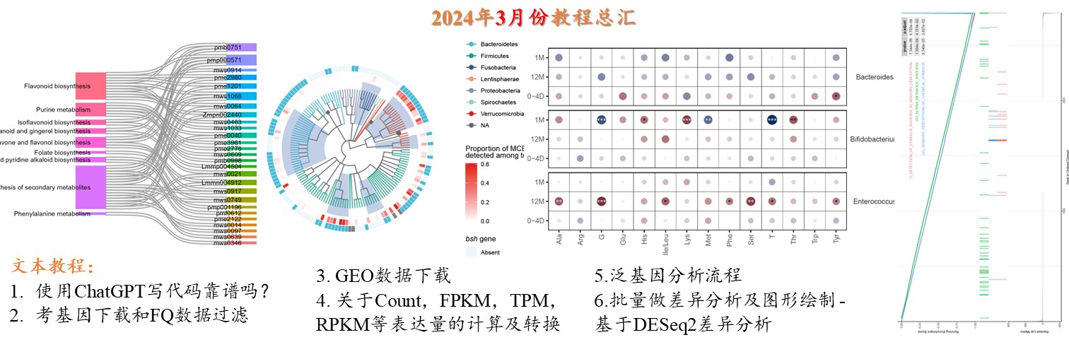 2024年3月份更新文档