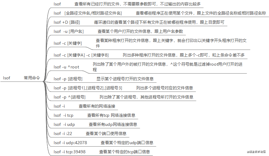 Linux系统性能监控命令系列之 lsof