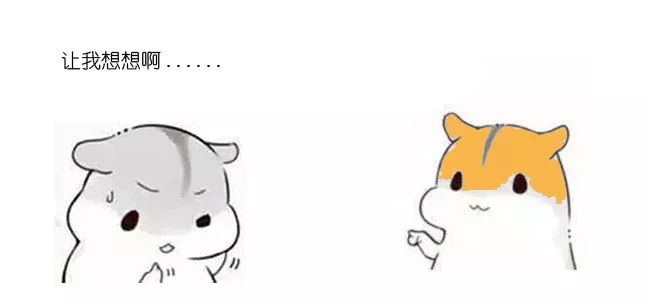 51fda1ca0ea0bbb243a4f4f1059f4788.png