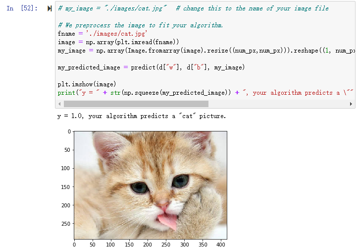 image-20220726115635552