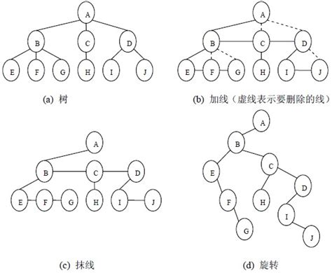 树、森林与二叉树的转换_Raise的博客-CSDN博客_森林转化为二叉树