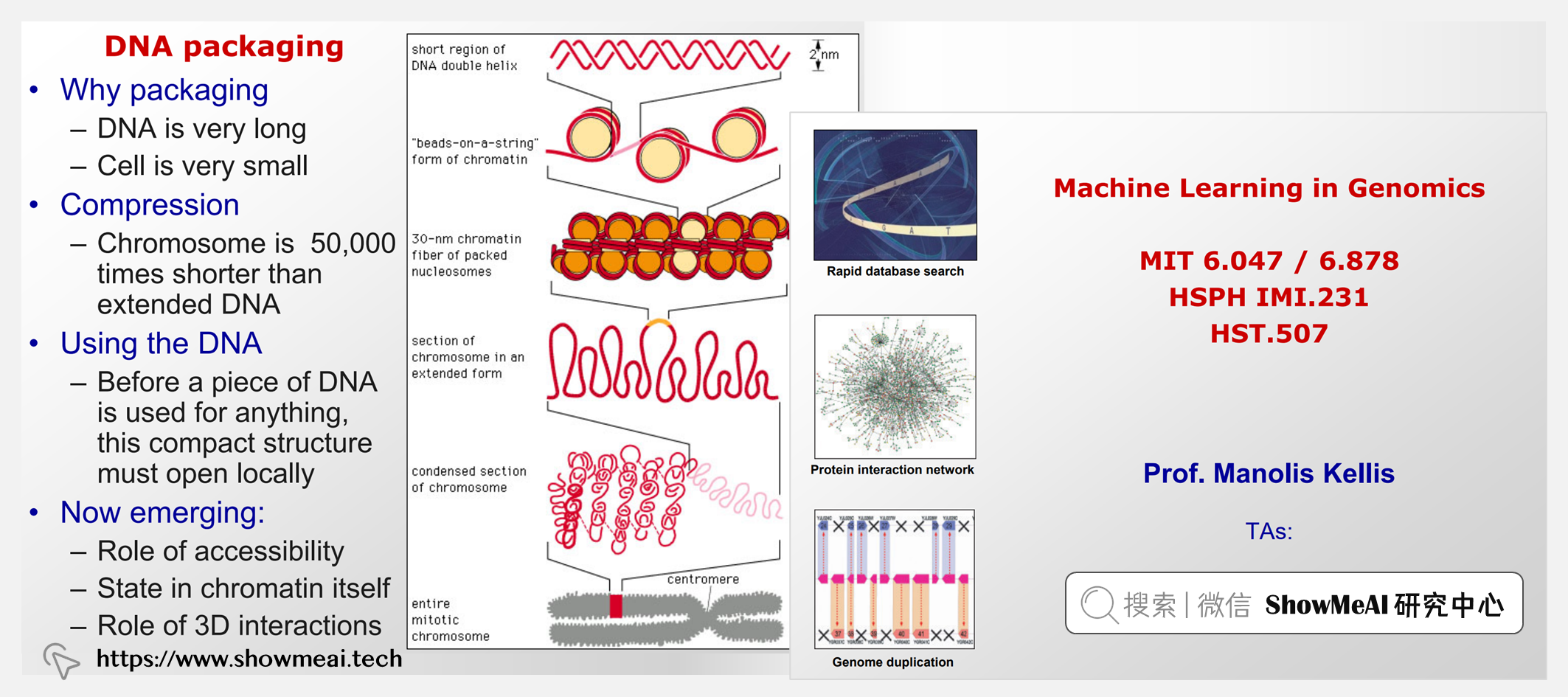 6.047; Machine Learning for Genomics; 基因组学机器学习