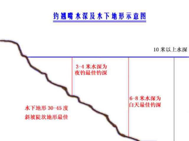 白天:翘嘴喜欢在深浅水的交界处活动觅食,水深6-8米是翘嘴白天最喜欢