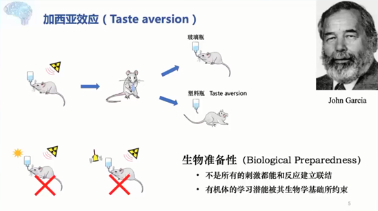 北师大刘嘉：认知神经科学如何打开 AI 黑箱？