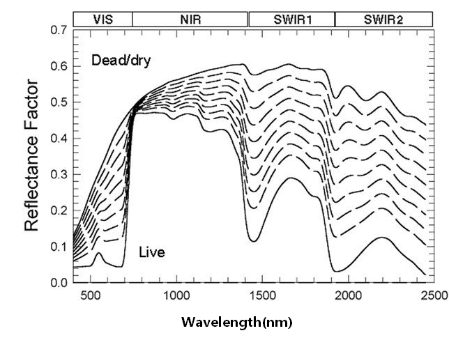 遥感影像植被波谱特征总结