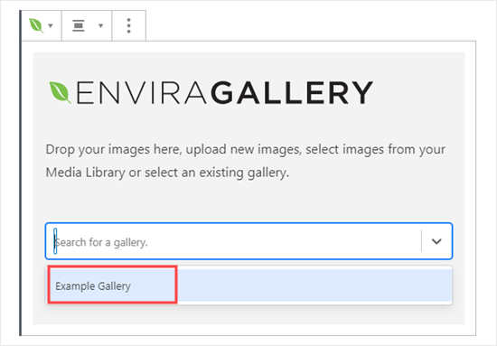 Select your gallery from the Envira Gallery block Select your gallery from the Envira Gallery block