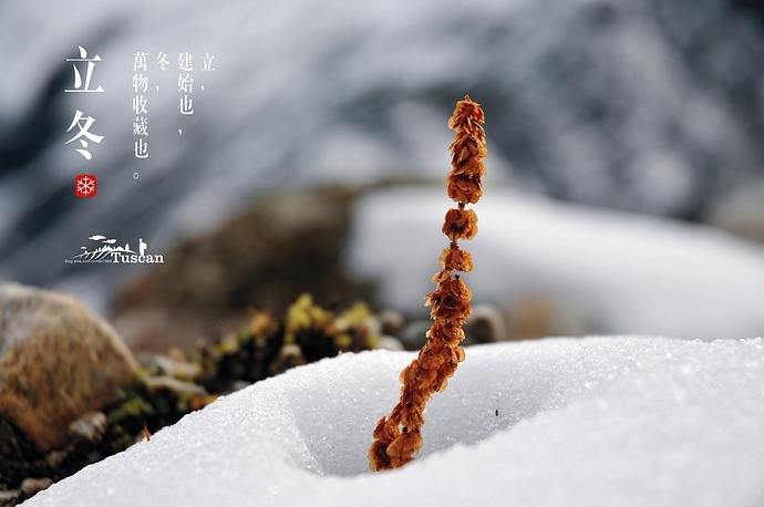 来,玄鸟归,群鸟养羞； 秋分 9月22——24日 雷始收声,蛰虫培户