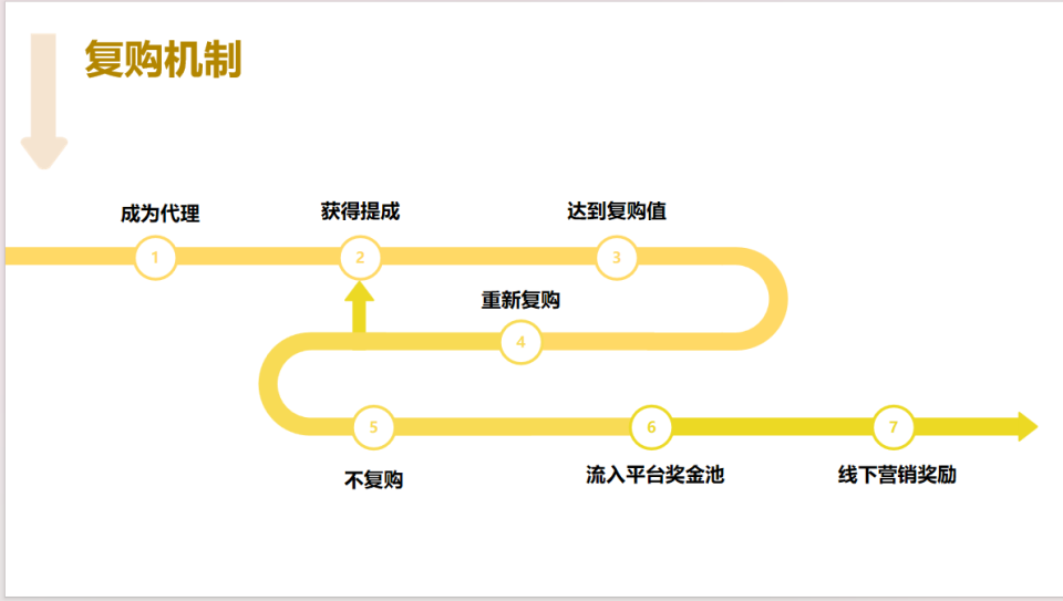 重构版：链动3+1创新裂变模式解析