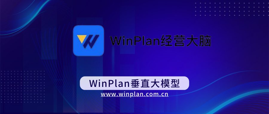 WinPlan经营大脑垂直大模型行业报告